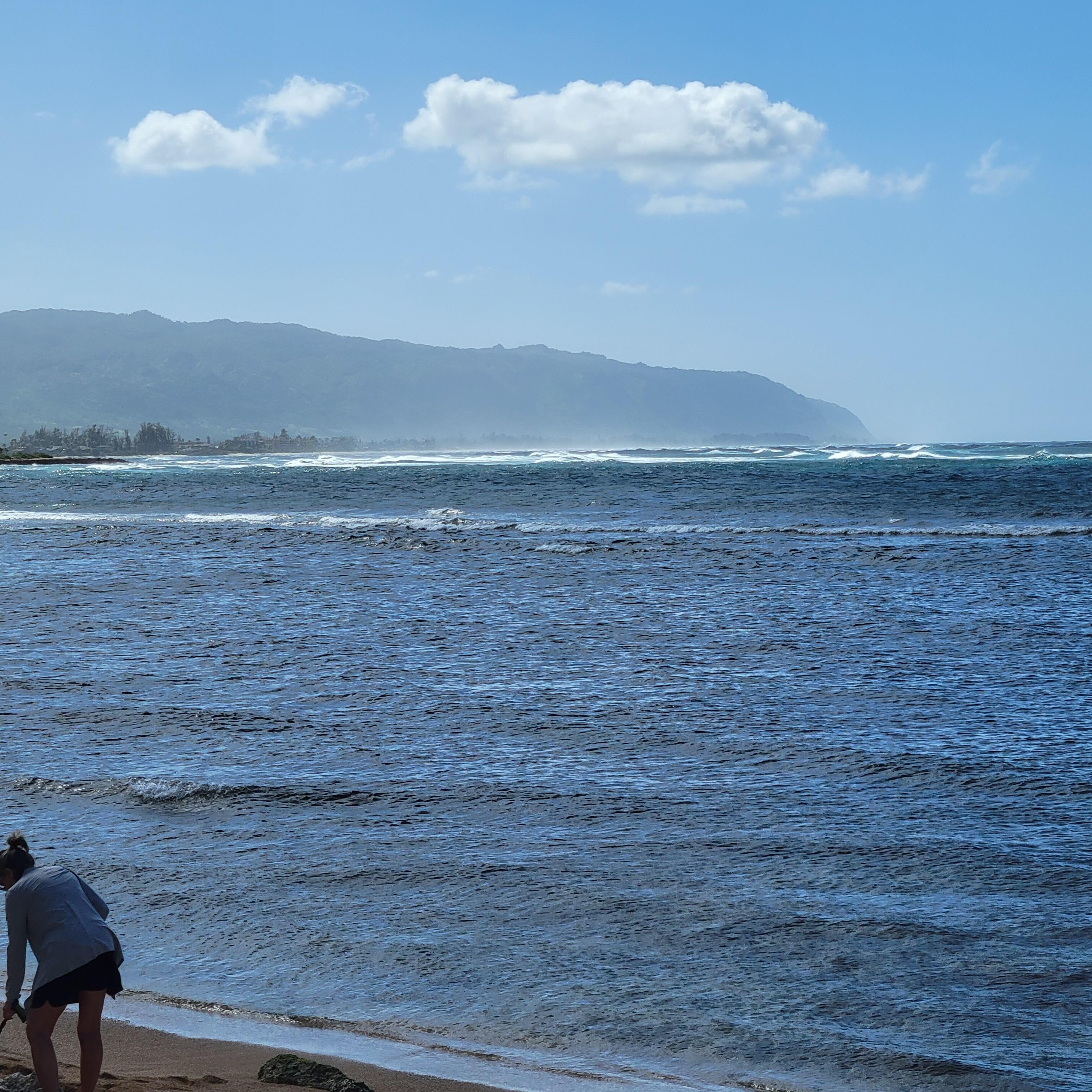 Visiting the North Shore in Hawaii