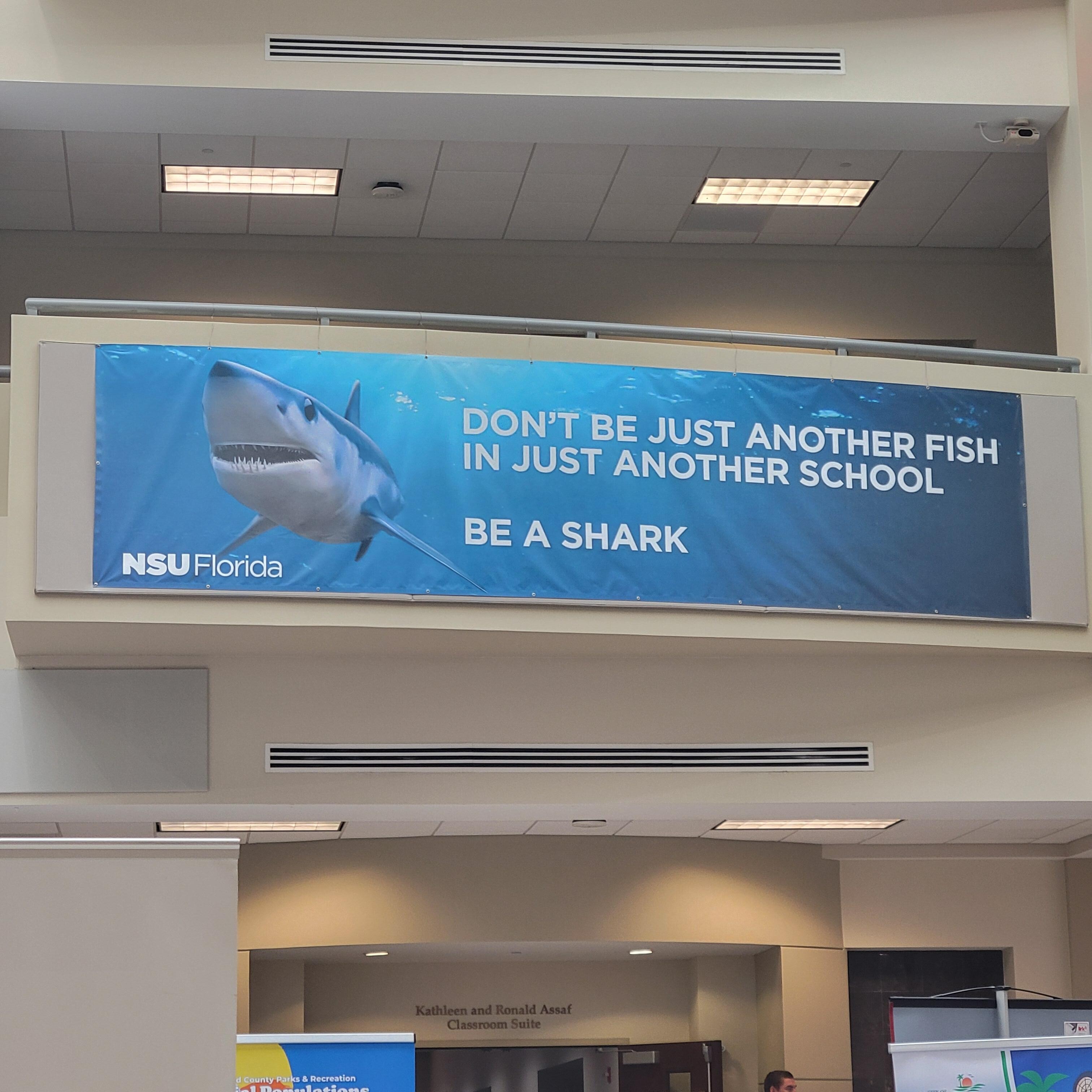 Do you want to be a Shark?