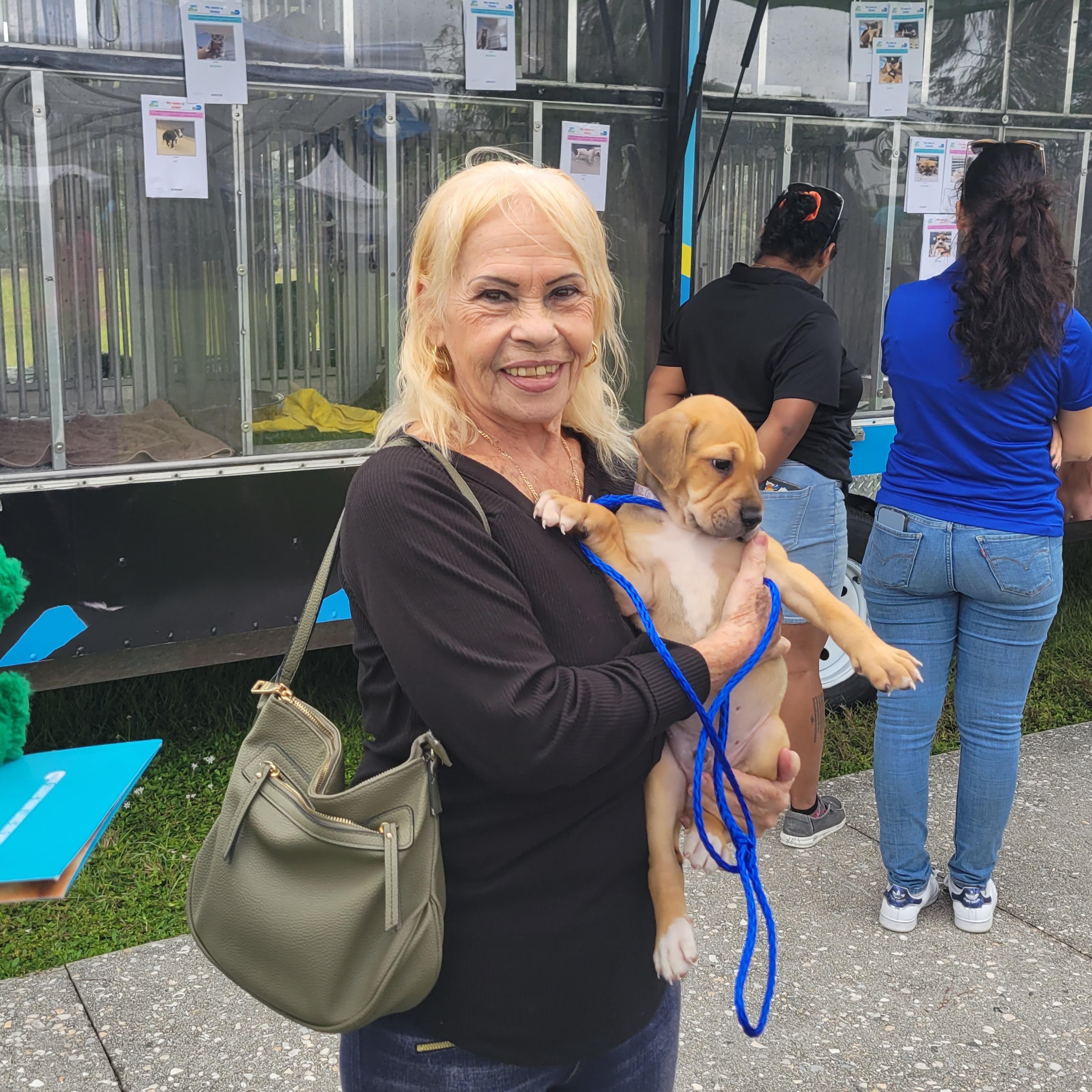 Miami Dade Animal Services