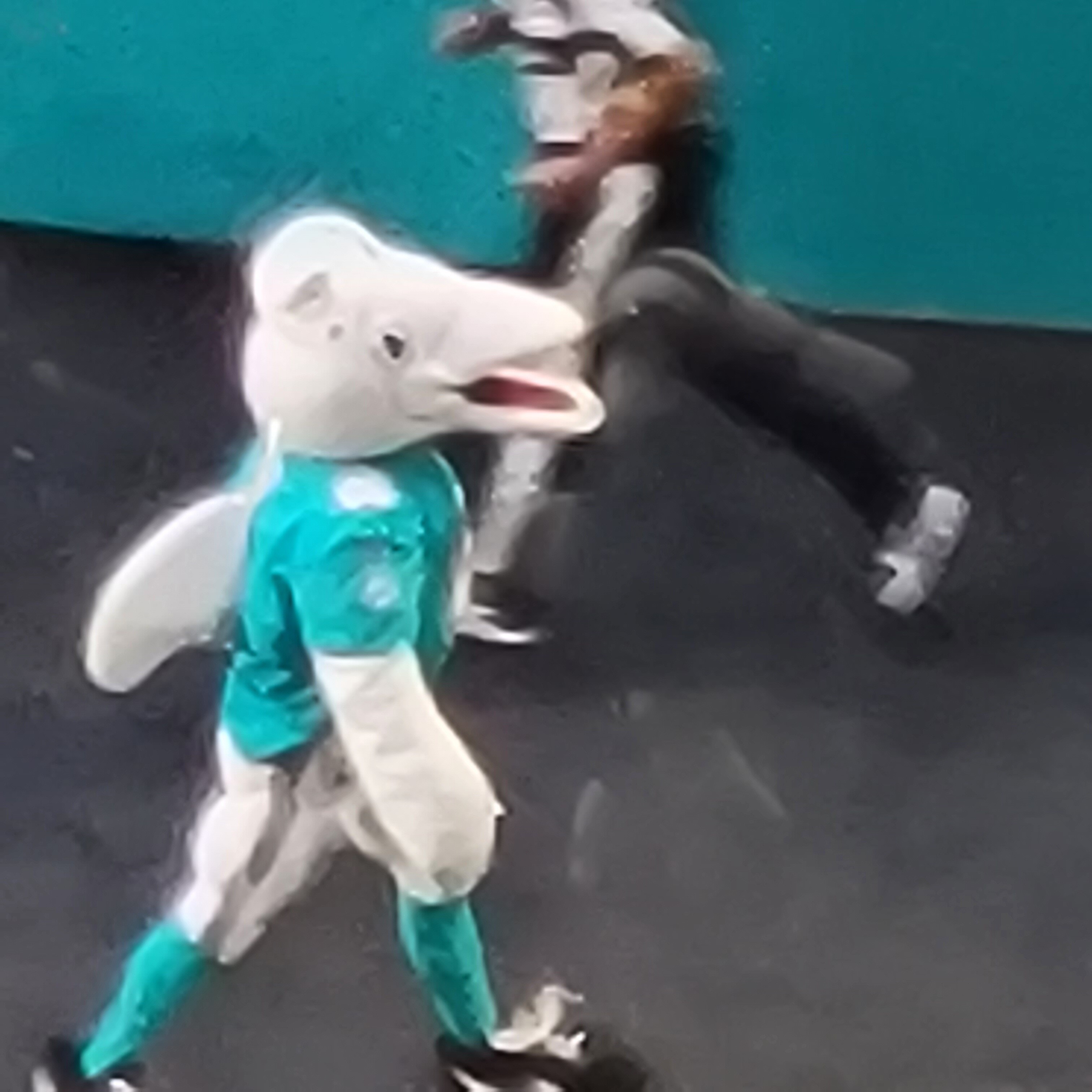 Miami Dolphins mascot
