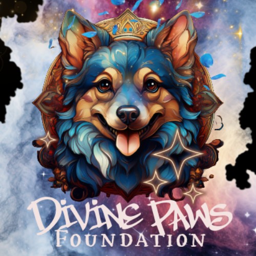 Miami - Divine Paws - Thresa McGowan